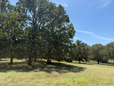 Rural Acreage For Sale in Mineola Texas Near Lindale Smith County - image 8