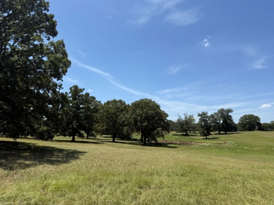 Rural Acreage For Sale in Mineola Texas Near Lindale Smith County - image 11