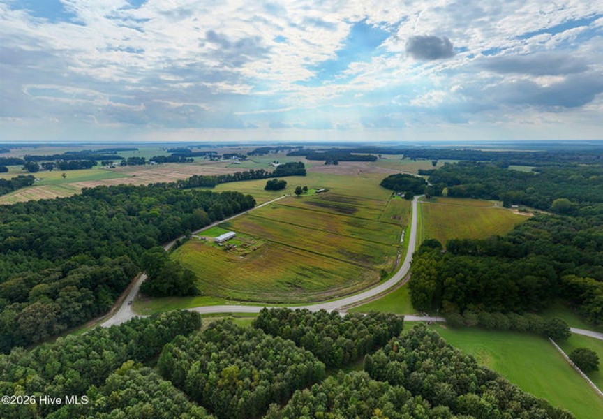 No Caption