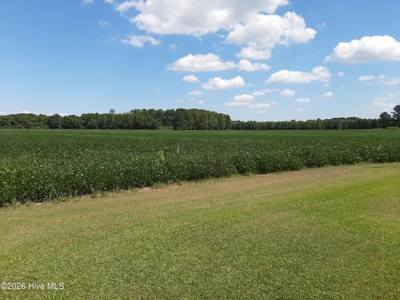 Land For Sale In Creswell North Carolina - image 3