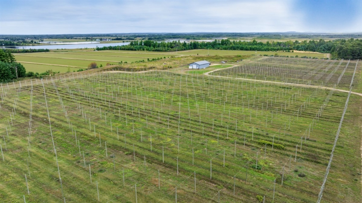 34.5± acre high-ground property in the Town of Bear Bluff