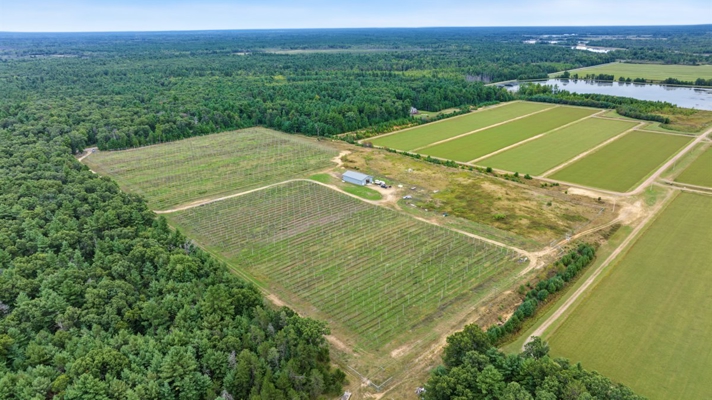 34.5± acre high-ground property in the Town of Bear Bluff