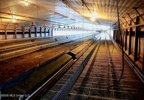 Kosciusko, MS Poultry Breeder Farm For Sale