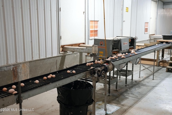 Kosciusko, MS Poultry Breeder Farm For Sale