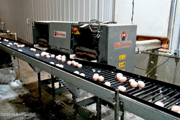 Kosciusko, MS Poultry Breeder Farm For Sale