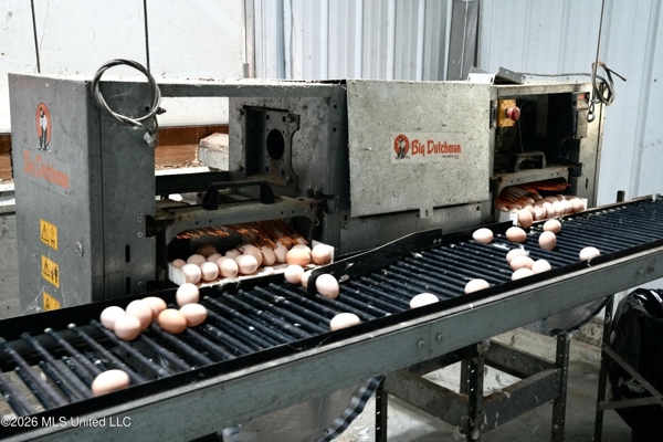 Kosciusko, MS Poultry Breeder Farm For Sale
