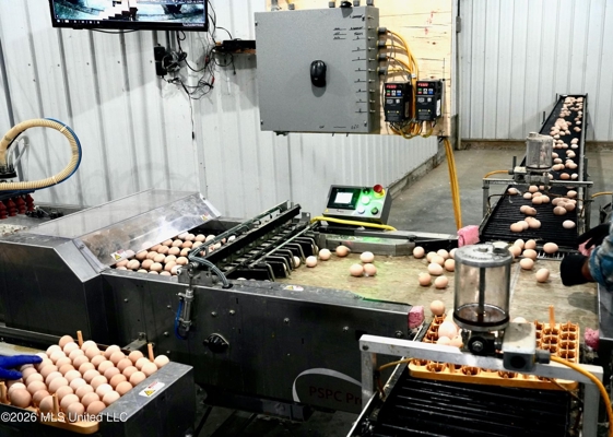 Kosciusko, MS Poultry Breeder Farm For Sale