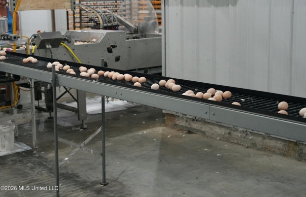 Kosciusko, MS Poultry Breeder Farm For Sale