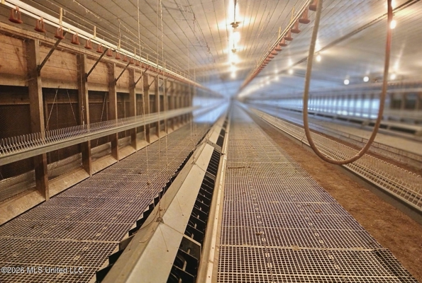 Kosciusko, MS Poultry Breeder Farm For Sale