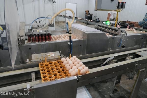 Kosciusko, MS Poultry Breeder Farm For Sale