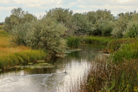 Reservoir Coulee Farm & Sporting Retreat - image 9