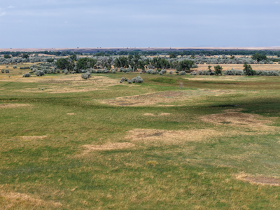 Reservoir Coulee Farm & Sporting Retreat - image 19