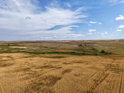 Reservoir Coulee Farm & Sporting Retreat - image 39