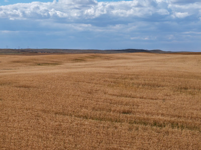 Reservoir Coulee Farm & Sporting Retreat - image 18