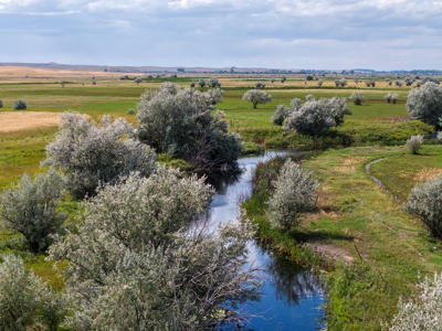 Reservoir Coulee Farm & Sporting Retreat - image 5