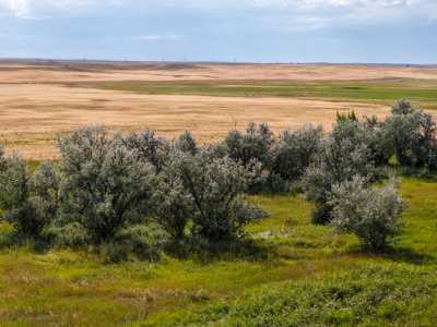 Reservoir Coulee Farm & Sporting Retreat - image 23