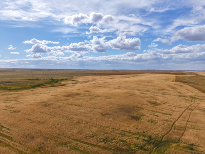 Reservoir Coulee Farm & Sporting Retreat - image 2