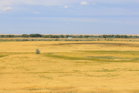 Reservoir Coulee Farm & Sporting Retreat - image 43