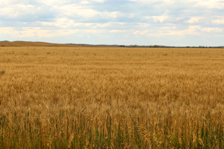 Reservoir Coulee Farm & Sporting Retreat - image 42