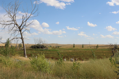 Reservoir Coulee Farm & Sporting Retreat - image 21