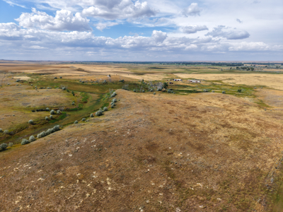 Reservoir Coulee Farm & Sporting Retreat - image 1