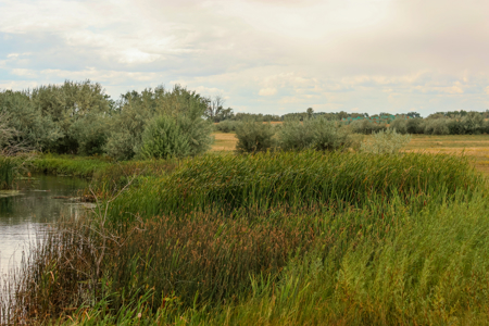 Reservoir Coulee Farm & Sporting Retreat - image 15