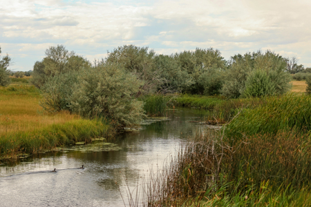 Reservoir Coulee Farm & Sporting Retreat - image 22