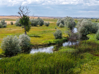 Reservoir Coulee Farm & Sporting Retreat - image 11
