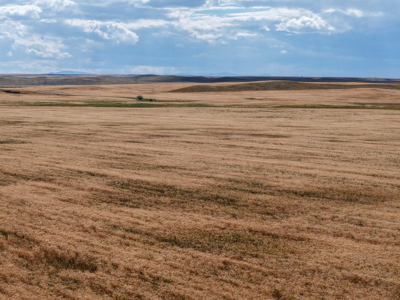 Reservoir Coulee Farm & Sporting Retreat - image 3