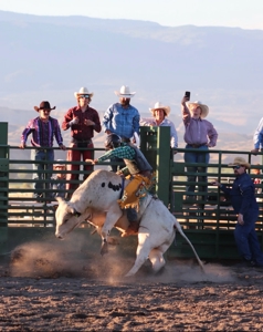 Grand View Event Center: 45± Acre Rodeo Venue For Sale - image 39