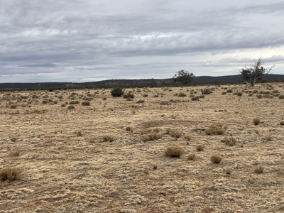 80 Acres for Sale in Northern AZ, No HOA, Borders State Trust - image 5