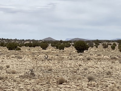 80 Acres for Sale in Northern AZ, No HOA, Borders State Trust - image 1