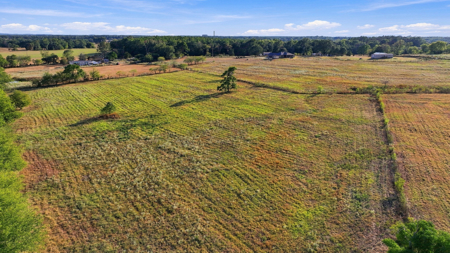 38.67 Acres of Pasture Land for Sale in Omaha, Texas - image 15