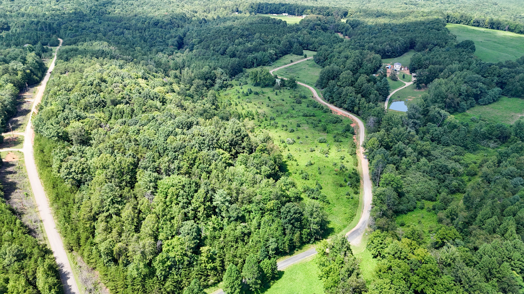 No Caption