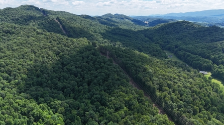 286 Wooded Acres in Tazewell County VA - image 27