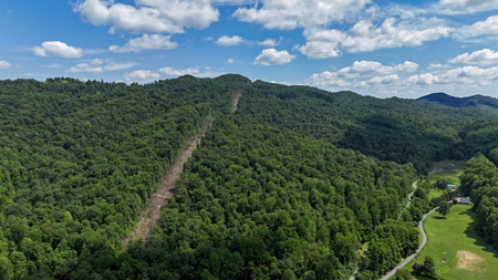 286 Wooded Acres in Tazewell County VA - image 16