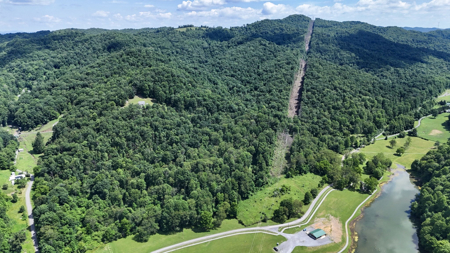 286 Wooded Acres in Tazewell County VA - image 1