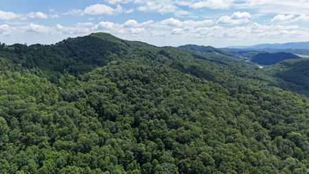 286 Wooded Acres in Tazewell County VA - image 22