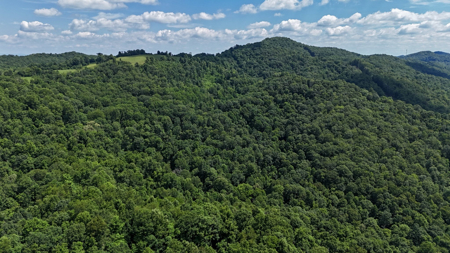 286 Wooded Acres in Tazewell County VA - image 3