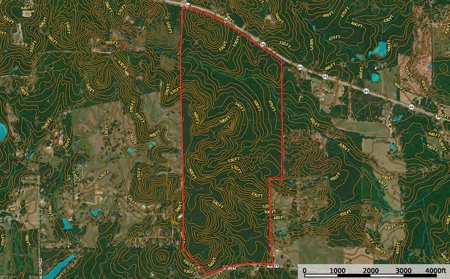 Timberland Investment Property for Sale Ben Wheeler Texas - image 1