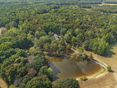 13-Acre West Tennessee Country Estate with Stocked Pond - image 16