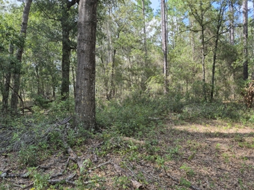 Listing 167