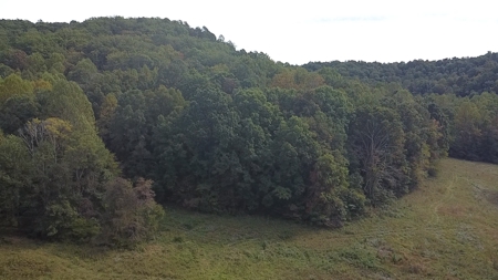 Bath Co Ky Hunting /Timberland with Home - image 29