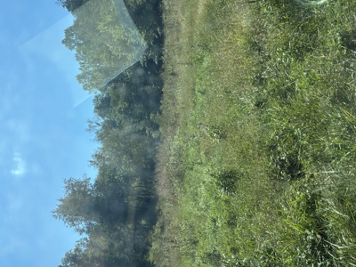Bath Co Ky Hunting /Timberland with Home - image 7