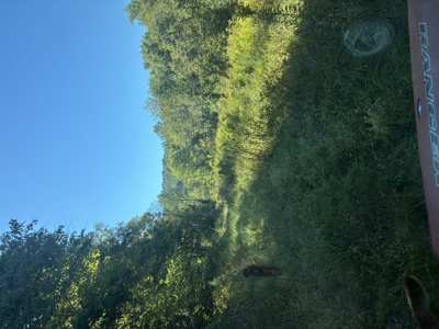 Bath Co Ky Hunting /Timberland with Home - image 14