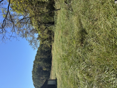 Bath Co Ky Hunting /Timberland with Home - image 5