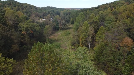 Bath Co Ky Hunting /Timberland with Home - image 26