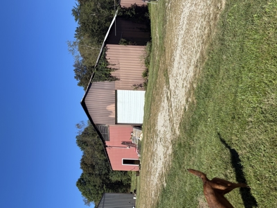 Bath Co Ky Hunting /Timberland with Home - image 4