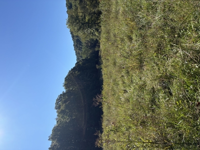 Bath Co Ky Hunting /Timberland with Home - image 15