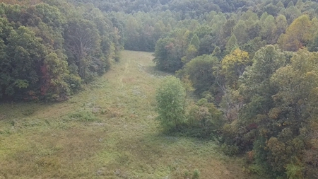 Bath Co Ky Hunting /Timberland with Home - image 30